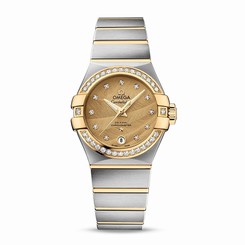 Omega Watches : 123.25.27.20.58.002 Automatic Dial Color
