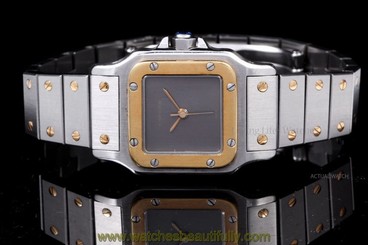 Cartier Stainless Steel & Yellow Gold Ladies Santos, Gray Dial, 24mm, Quartz