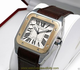Cartier Santos 100 w20072x7 Stainless Steel & Yellow Gold Crocodile Ret: $9,650 7612456259654