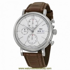 IWC MEN'S PORTOFINO 42MM LEATHER BAND STEEL CASE AUTOMATIC WATCH IW391007