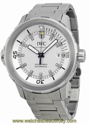 IWC IW329004 Aquatimer Swiss Automatic Silver Dial Men Steel Watch New Authentic