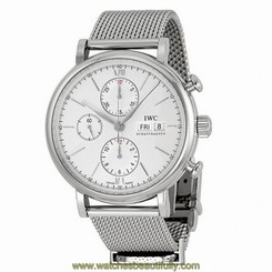 IWC Portofino IW391009 Watch 683498407553