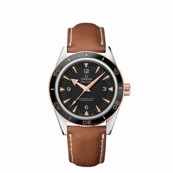 Omega Seamaster 300 Master Co-Axial 41mm 233.22.41.21.01.002- Unworn W/Box+Pap