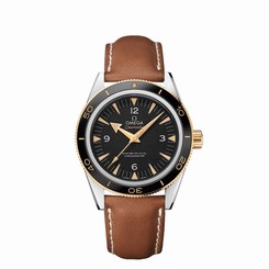 Omega Seamaster 300 Master Co-Axial 41mm 233.22.41.21.01.001 - Unworn W/Box+Pap