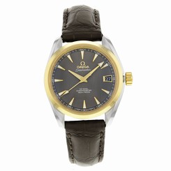 Omega Aqua Terra 231.23.39.21.06.002 Steel & Gold Automatic Men's Watch