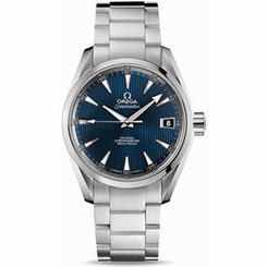 Omega Aqua Terra Mens Watch 231.10.39.21.03.001