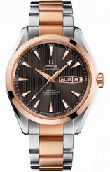 Omega Watches : 231.20.43.22.06.001 Autoamtic COSC Day - Date Aqua Terra Men Watch
