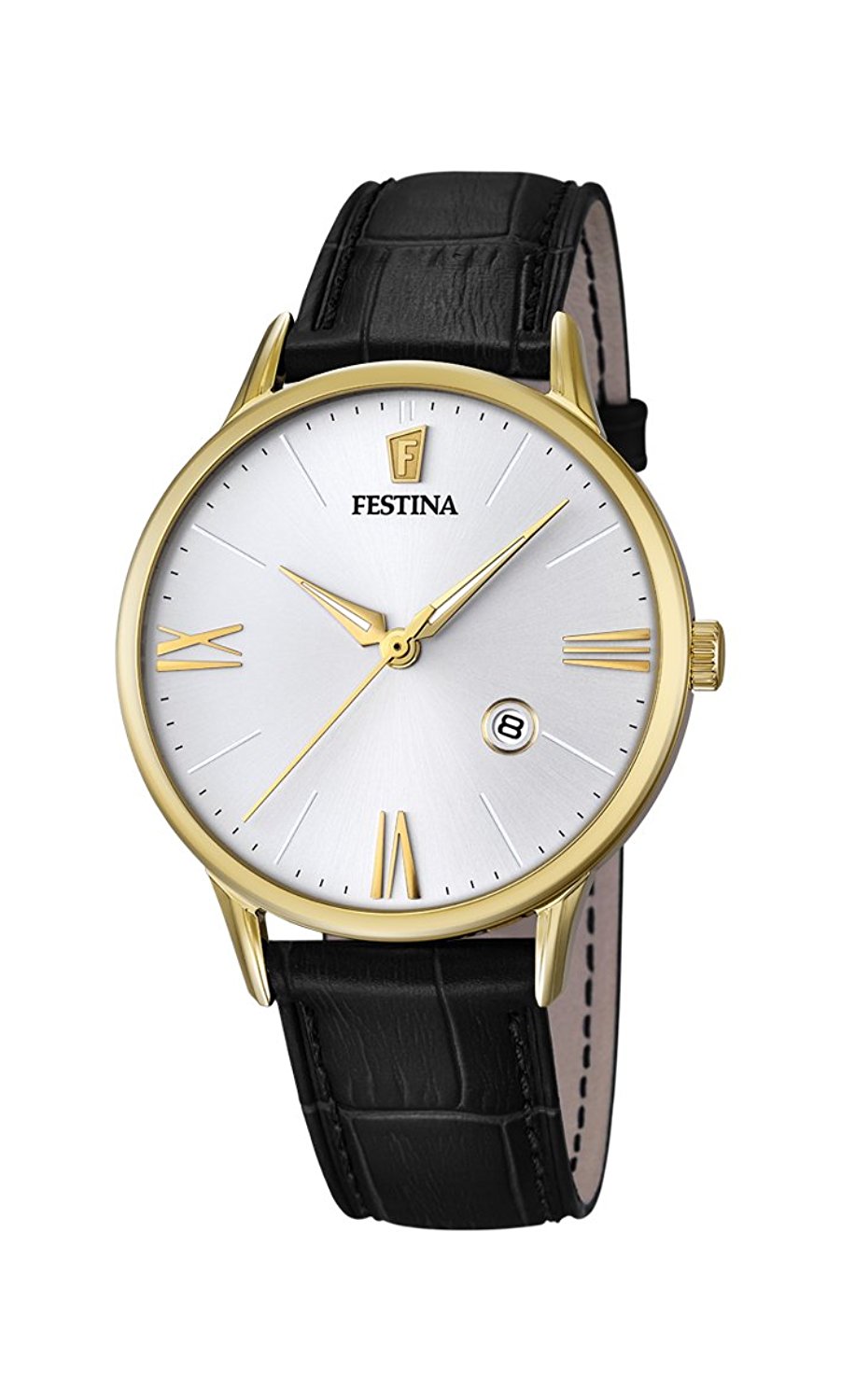 Festina Watches : F16825/1 White Dial Luminescent Hands Men Watch