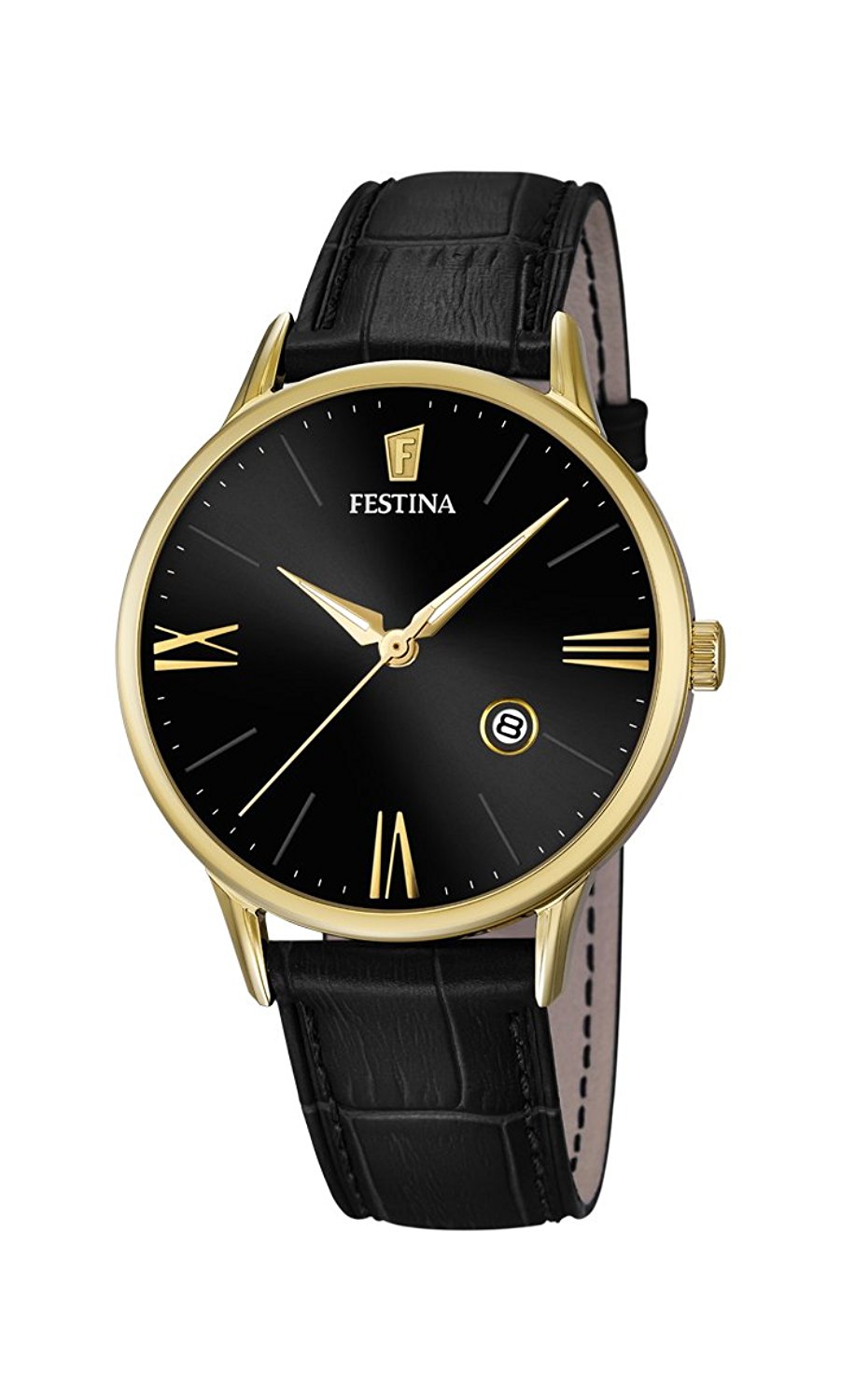 Festina Watches : F16825/4 Black Dial Luminescent Hands Men Watch