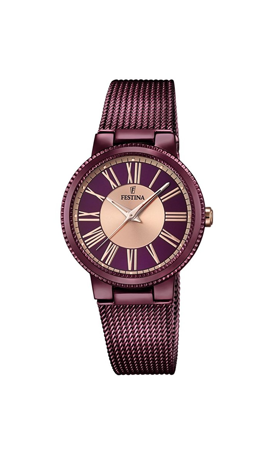 Festina Watches : F16966/1 Multicolour Dial Stainless Steel Plated Women Watch