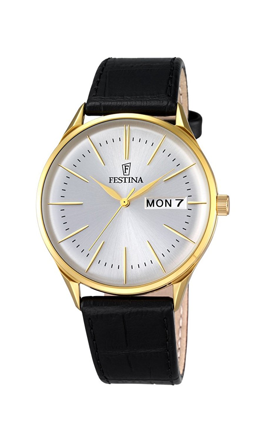 Festina Watches : F6838/1 Silver Dial Stainless Steel Plated Men Watch